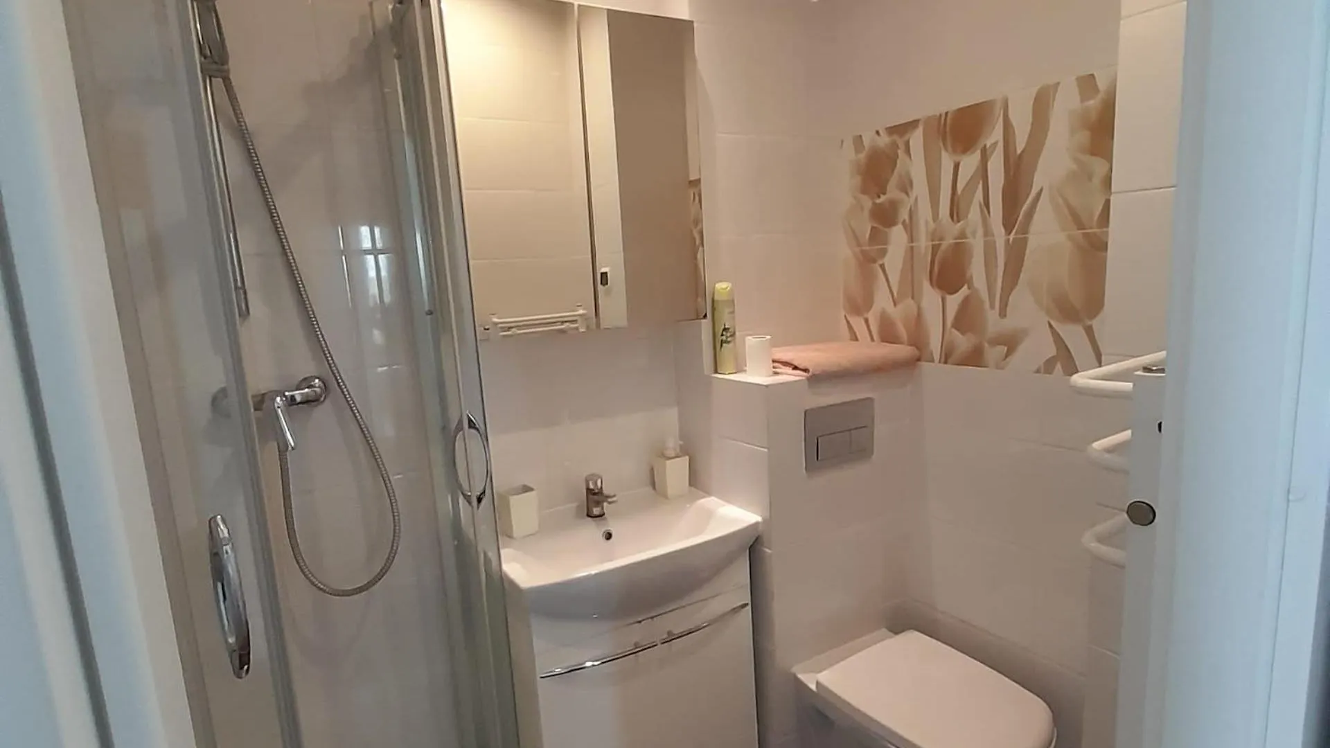 Mieszkanie Park Lazienki Apartment Warsaw